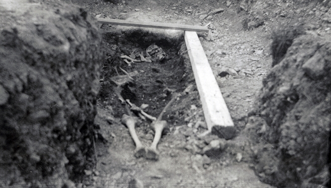 Duc d'Anville's Bones